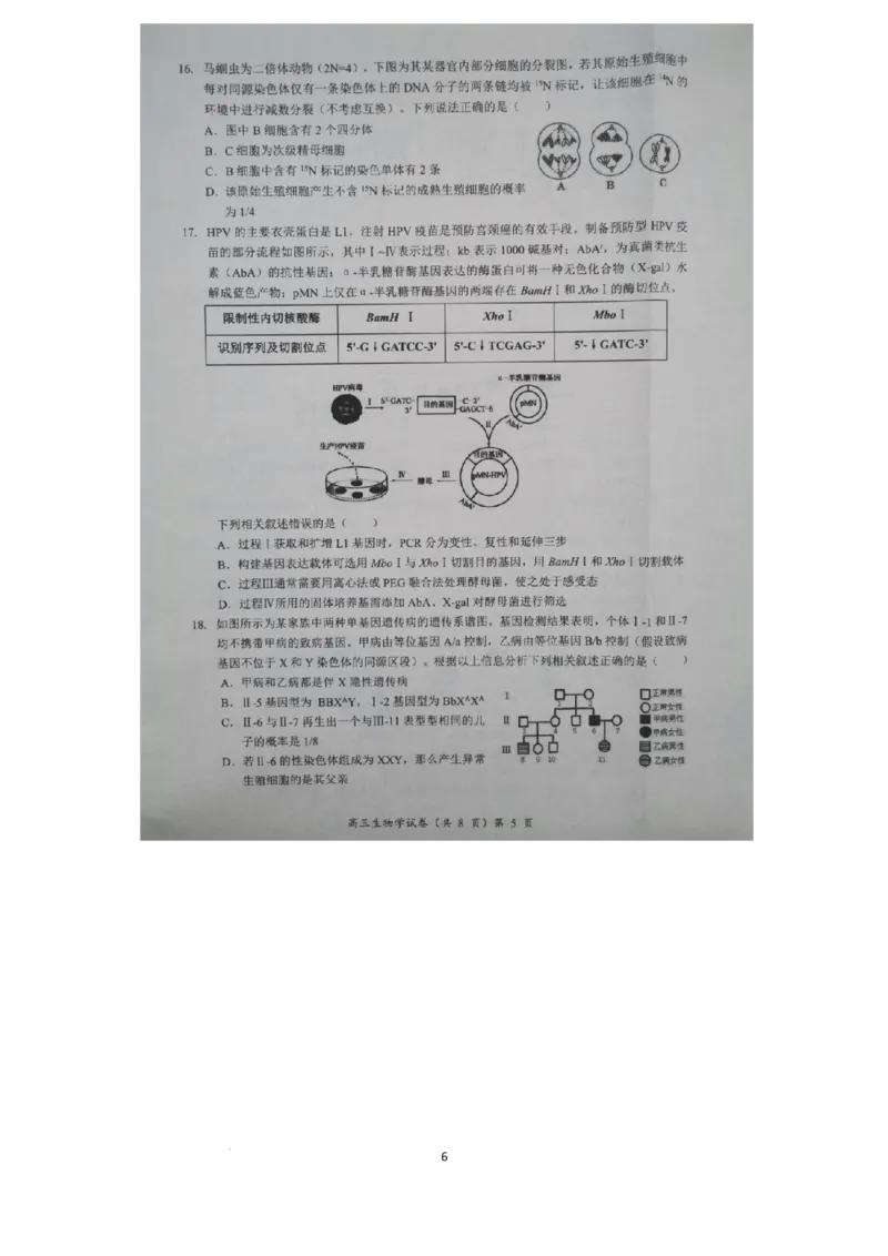 预约2025-2026学年度湖北省高三上学期期中考试-生物试题_251112湖北省楚天协作体2025-2026学年度高三上学期期中考试（全科）_湖北省部分学校2025-2026学年高三上学期期中考试生物试题