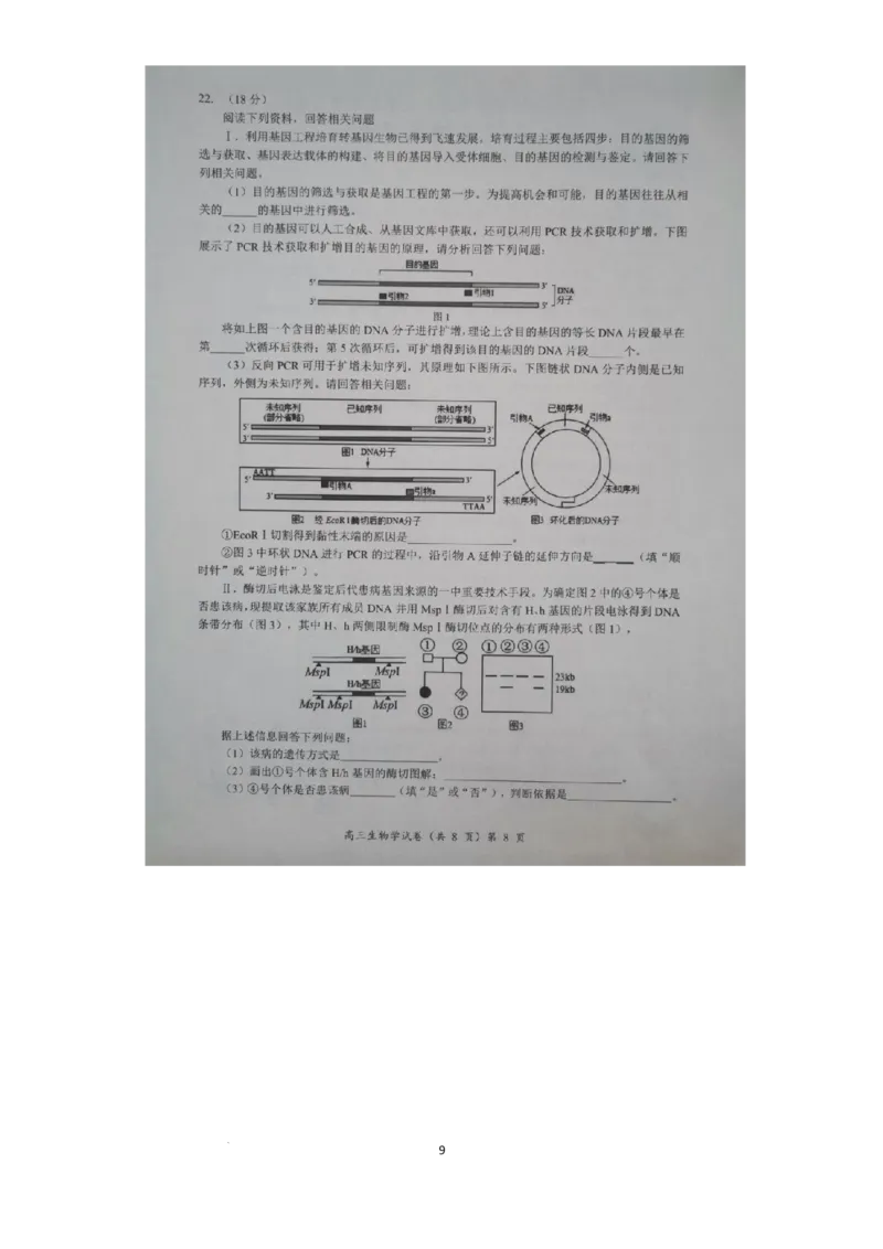 预约2025-2026学年度湖北省高三上学期期中考试-生物试题_251112湖北省楚天协作体2025-2026学年度高三上学期期中考试（全科）_湖北省部分学校2025-2026学年高三上学期期中考试生物试题