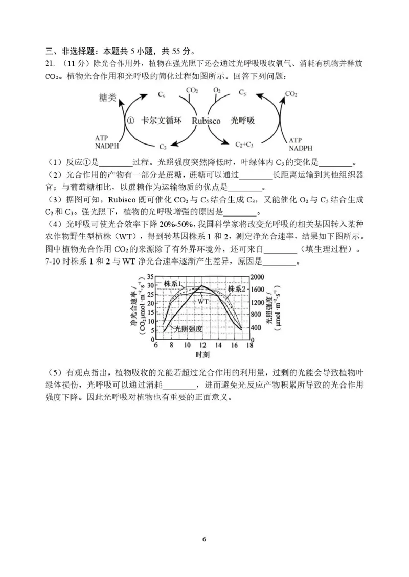 黑龙江省龙东十校联盟2026届高三上学期期中考试生物试卷（含答案）_251106黑龙江省龙东十校联盟2026届高三上学期期中考试试卷（全科）