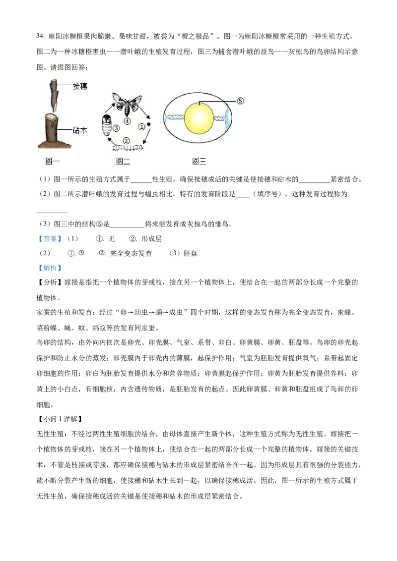 精品解析：2022年湖南省怀化市中考生物真题（解析版）_中考真题_8.生物中考真题2015-2024年_2022年全国中考生物114份14