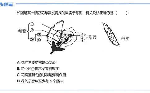 理论精讲17-植物学2-拾光_4-教培资料-26年最新资料-同步更新_初中高中教资_03科三专项（进去保存报考的学科即可）_01科目三FB网课、三色速记手册、知识点导图等推荐_初中