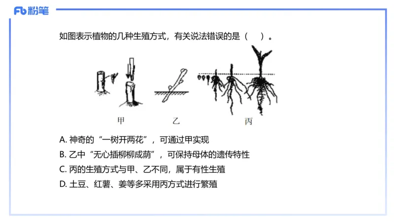 理论精讲17-植物学2-拾光_4-教培资料-26年最新资料-同步更新_初中高中教资_03科三专项（进去保存报考的学科即可）_01科目三FB网课、三色速记手册、知识点导图等推荐_初中