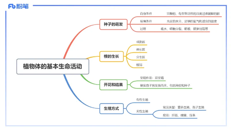 理论精讲17-植物学2-拾光_4-教培资料-26年最新资料-同步更新_初中高中教资_03科三专项（进去保存报考的学科即可）_01科目三FB网课、三色速记手册、知识点导图等推荐_初中