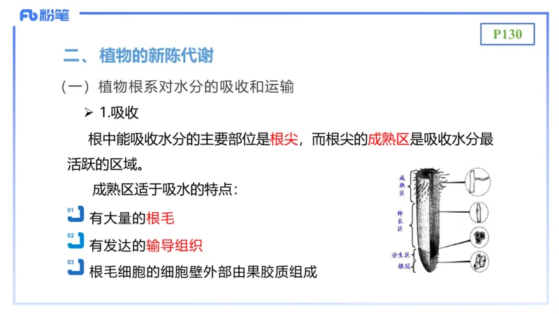 理论精讲17-植物学2-拾光_4-教培资料-26年最新资料-同步更新_初中高中教资_03科三专项（进去保存报考的学科即可）_01科目三FB网课、三色速记手册、知识点导图等推荐_初中