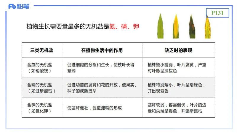 理论精讲17-植物学2-拾光_4-教培资料-26年最新资料-同步更新_初中高中教资_03科三专项（进去保存报考的学科即可）_01科目三FB网课、三色速记手册、知识点导图等推荐_初中