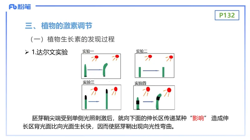 理论精讲17-植物学2-拾光_4-教培资料-26年最新资料-同步更新_初中高中教资_03科三专项（进去保存报考的学科即可）_01科目三FB网课、三色速记手册、知识点导图等推荐_初中