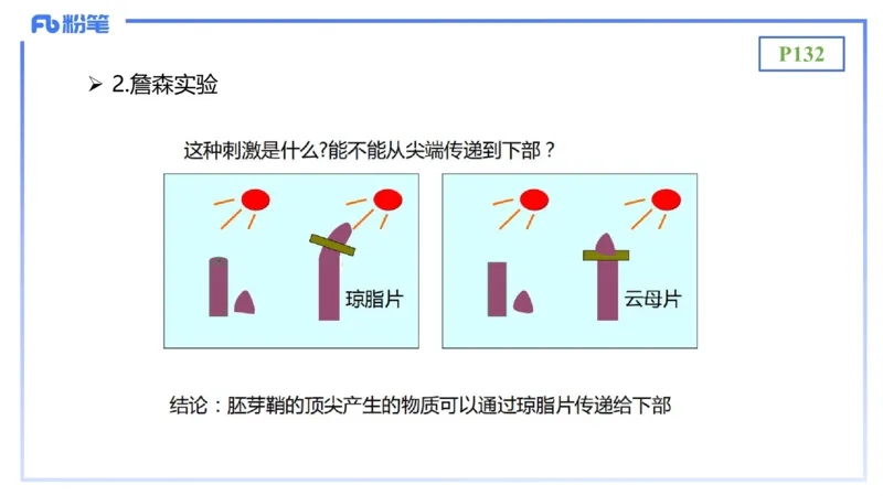 理论精讲17-植物学2-拾光_4-教培资料-26年最新资料-同步更新_初中高中教资_03科三专项（进去保存报考的学科即可）_01科目三FB网课、三色速记手册、知识点导图等推荐_初中