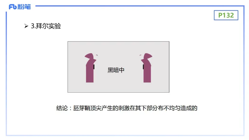 理论精讲17-植物学2-拾光_4-教培资料-26年最新资料-同步更新_初中高中教资_03科三专项（进去保存报考的学科即可）_01科目三FB网课、三色速记手册、知识点导图等推荐_初中