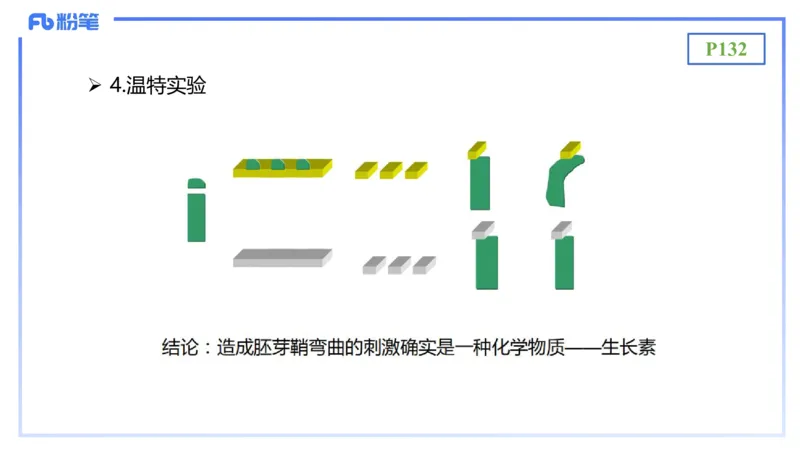 理论精讲17-植物学2-拾光_4-教培资料-26年最新资料-同步更新_初中高中教资_03科三专项（进去保存报考的学科即可）_01科目三FB网课、三色速记手册、知识点导图等推荐_初中