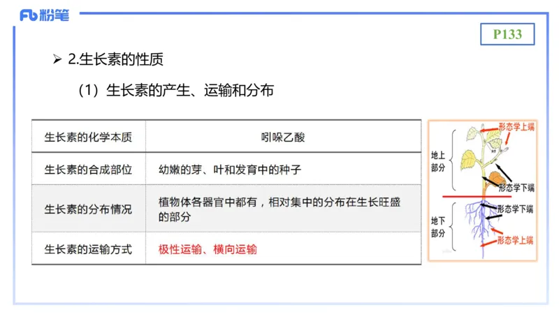 理论精讲17-植物学2-拾光_4-教培资料-26年最新资料-同步更新_初中高中教资_03科三专项（进去保存报考的学科即可）_01科目三FB网课、三色速记手册、知识点导图等推荐_初中
