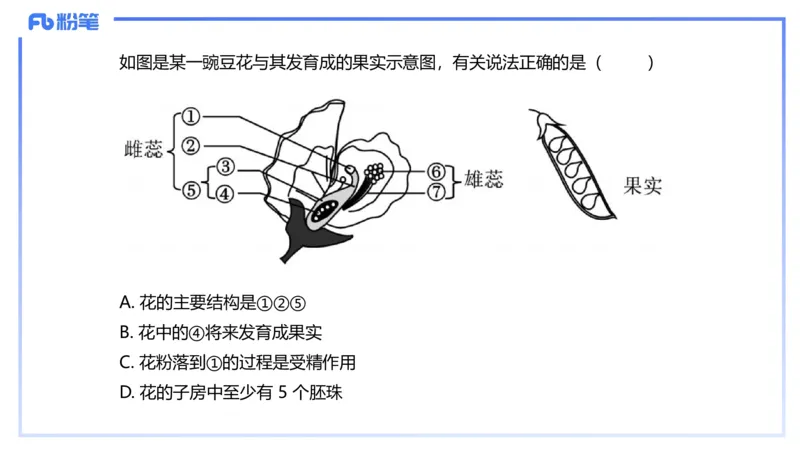 理论精讲17-植物学2-拾光_4-教培资料-26年最新资料-同步更新_初中高中教资_03科三专项（进去保存报考的学科即可）_01科目三FB网课、三色速记手册、知识点导图等推荐_初中