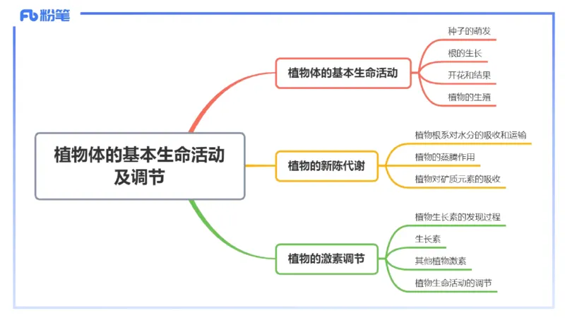 理论精讲17-植物学2-拾光_4-教培资料-26年最新资料-同步更新_初中高中教资_03科三专项（进去保存报考的学科即可）_01科目三FB网课、三色速记手册、知识点导图等推荐_初中