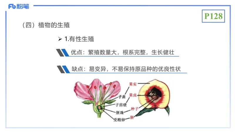 理论精讲17-植物学2-拾光_4-教培资料-26年最新资料-同步更新_初中高中教资_03科三专项（进去保存报考的学科即可）_01科目三FB网课、三色速记手册、知识点导图等推荐_初中