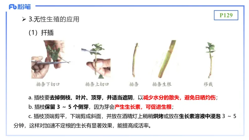 理论精讲17-植物学2-拾光_4-教培资料-26年最新资料-同步更新_初中高中教资_03科三专项（进去保存报考的学科即可）_01科目三FB网课、三色速记手册、知识点导图等推荐_初中