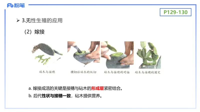 理论精讲17-植物学2-拾光_4-教培资料-26年最新资料-同步更新_初中高中教资_03科三专项（进去保存报考的学科即可）_01科目三FB网课、三色速记手册、知识点导图等推荐_初中