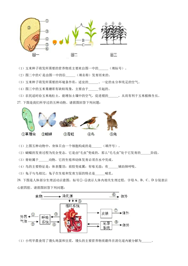 精品解析：2022年湖南省邵阳市中考生物真题（原卷版）_中考真题_8.生物中考真题2015-2024年_地区卷_湖南省_邵阳生物（只有2022