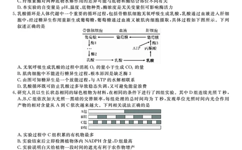 生物试题&middot;2025年12月皖江名校高三联考_2025年12月_251221安徽省皖江名校联盟2025-2026学年高三年级12月质量检测（全科）