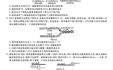 生物试题&middot;2025年12月皖江名校高三联考_2025年12月_251221安徽省皖江名校联盟2025-2026学年高三年级12月质量检测（全科）