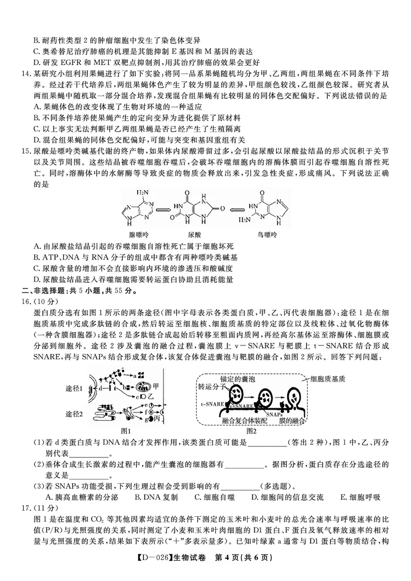 生物试题&middot;2025年12月皖江名校高三联考_2025年12月_251221安徽省皖江名校联盟2025-2026学年高三年级12月质量检测（全科）