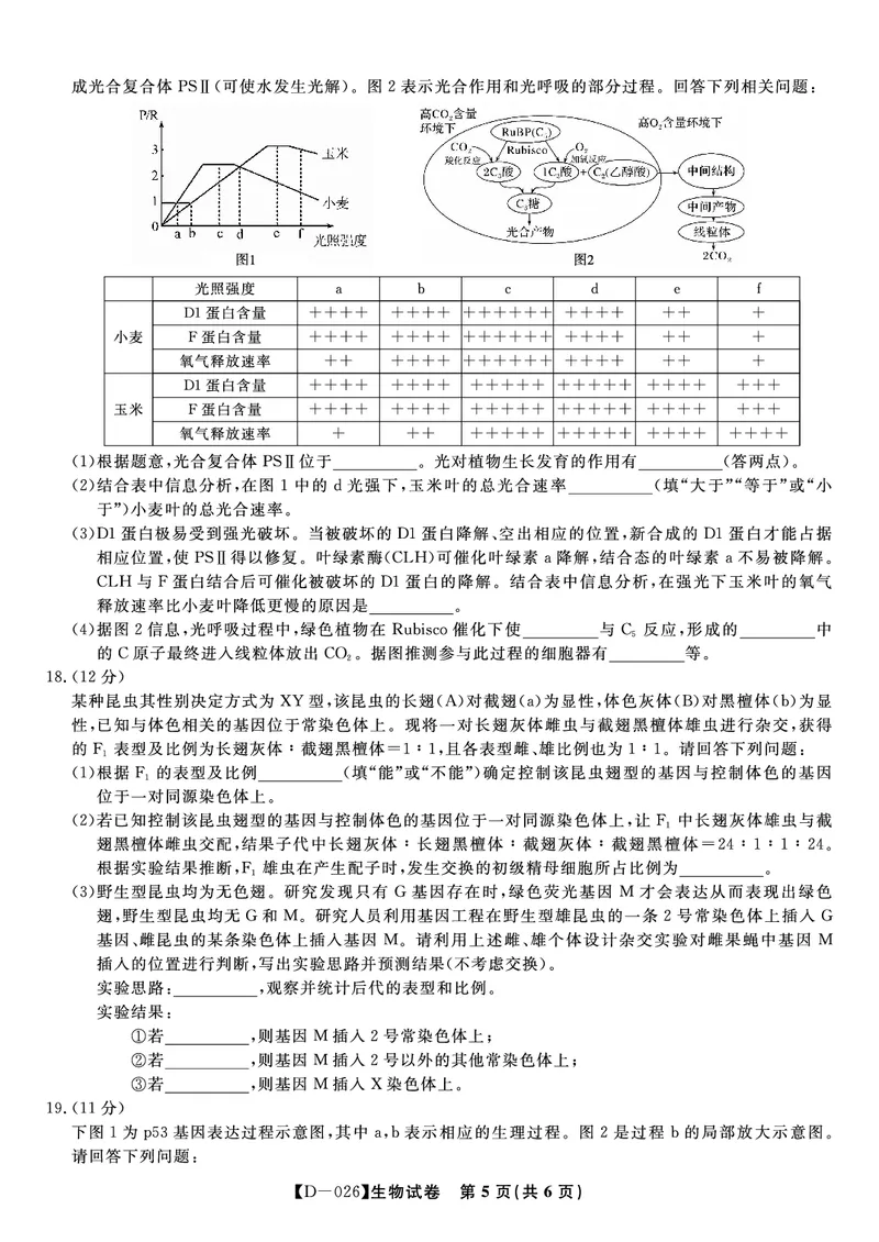 生物试题&middot;2025年12月皖江名校高三联考_2025年12月_251221安徽省皖江名校联盟2025-2026学年高三年级12月质量检测（全科）