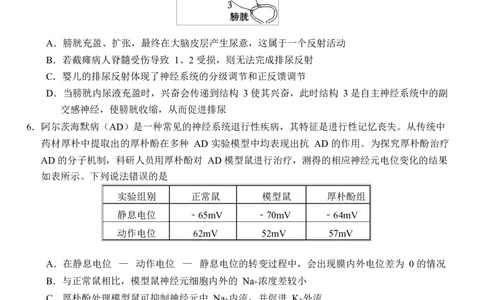 生物2024&mdash;2025学年度下学期（定）_2025年6月_250620湖北省荆州市沙市中学2024-2025学年高二下学期6月月考（全科）_湖北省荆州市沙市中学2024-2025学年高二下学期6月月考生物试题