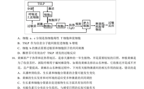生物2024&mdash;2025学年度下学期（定）_2025年6月_250620湖北省荆州市沙市中学2024-2025学年高二下学期6月月考（全科）_湖北省荆州市沙市中学2024-2025学年高二下学期6月月考生物试题