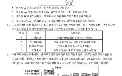 生物2024&mdash;2025学年度下学期（定）_2025年6月_250620湖北省荆州市沙市中学2024-2025学年高二下学期6月月考（全科）_湖北省荆州市沙市中学2024-2025学年高二下学期6月月考生物试题