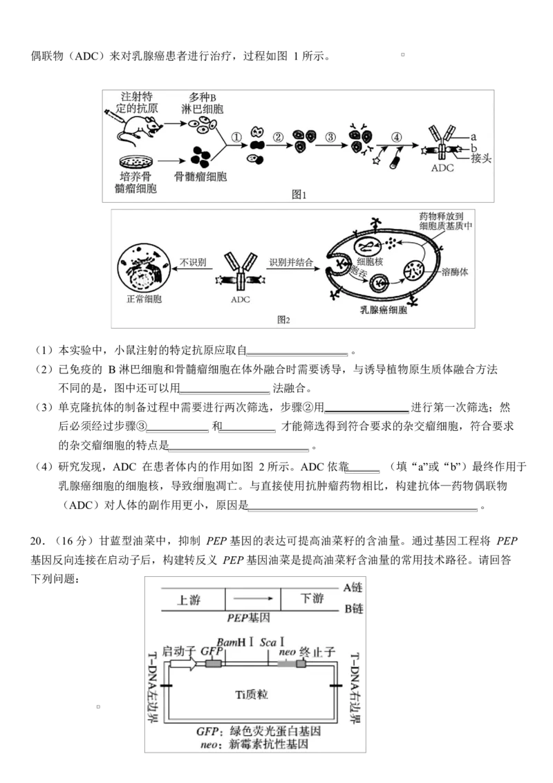 生物2024&mdash;2025学年度下学期（定）_2025年6月_250620湖北省荆州市沙市中学2024-2025学年高二下学期6月月考（全科）_湖北省荆州市沙市中学2024-2025学年高二下学期6月月考生物试题