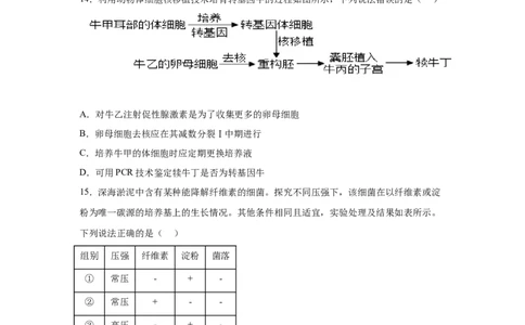 山东2025年高考山东卷生物高考真题文档版（含答案）-A4答案卷尾_1.高考2025全国各省真题+答案_9.高考生物真题答案更新中
