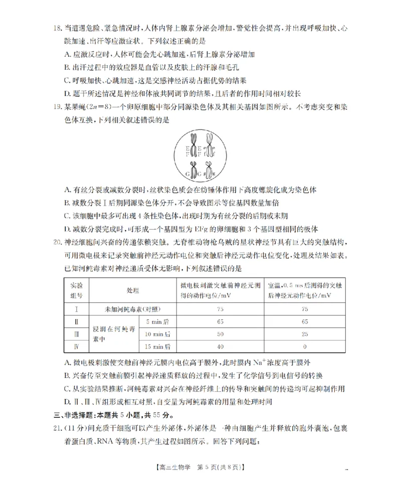 辽宁省葫芦岛市葫芦岛市、县2026届高三上学期协作校第二次考试（26-147C）生物_2025年12月_251214辽宁省葫芦岛市（县）2026届高三上学期协作校第二次考试（金太阳26-147C）（全科）