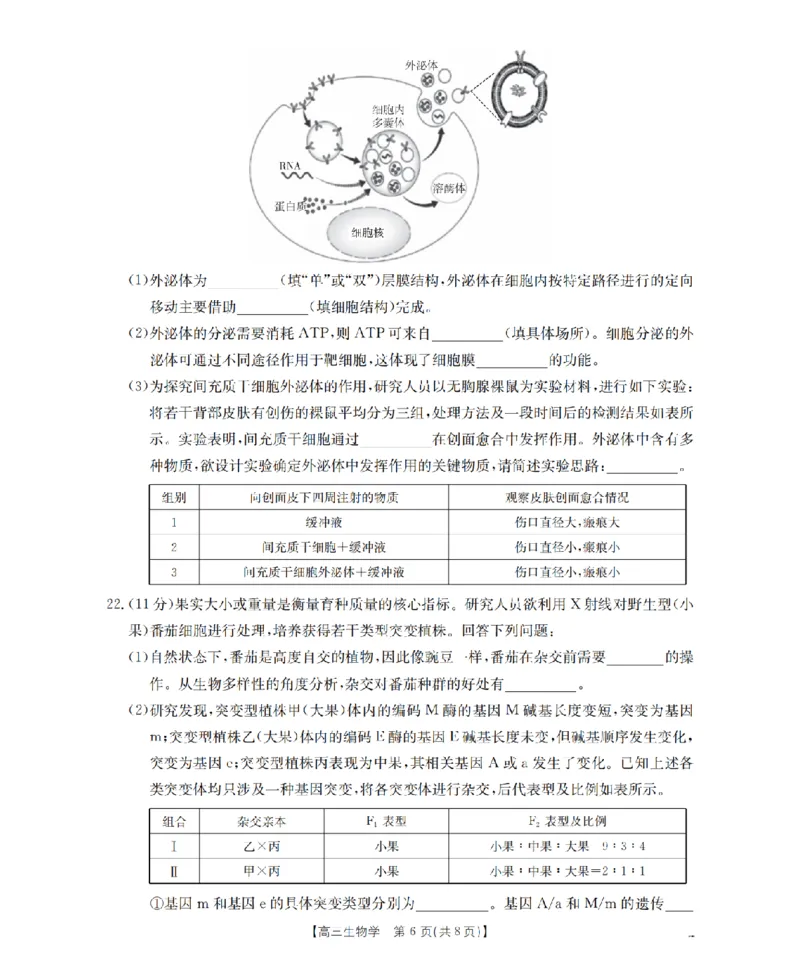 辽宁省葫芦岛市葫芦岛市、县2026届高三上学期协作校第二次考试（26-147C）生物_2025年12月_251214辽宁省葫芦岛市（县）2026届高三上学期协作校第二次考试（金太阳26-147C）（全科）