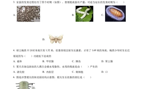精品解析：2023年山东省烟台市中考生物真题（原卷版）_中考真题_8.生物中考真题2015-2024年_2023年全国中考生物7.20_精品解析：2023年山东省烟台市中考生物真题