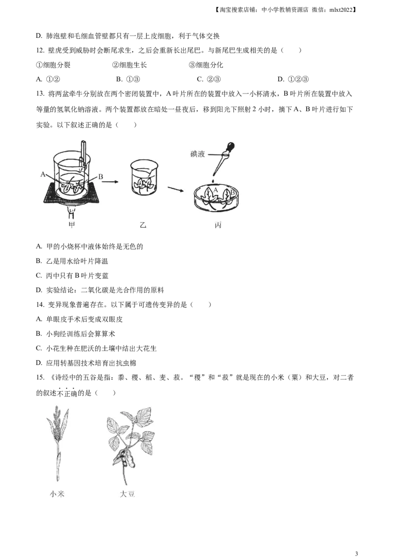 精品解析：2023年山东省烟台市中考生物真题（原卷版）_中考真题_8.生物中考真题2015-2024年_2023年全国中考生物7.20_精品解析：2023年山东省烟台市中考生物真题