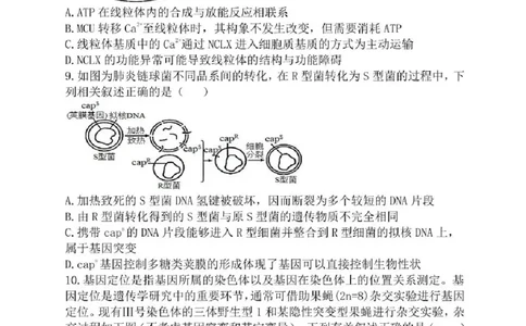 辽宁省七校协作体2025-2026学年高三上学期11月联考生物试题（含答案）_251112辽宁省七校协作体2025-2026学年高三上学期11月期中联考（全科）