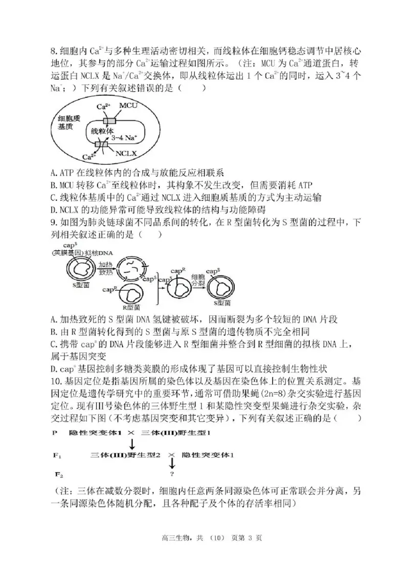辽宁省七校协作体2025-2026学年高三上学期11月联考生物试题（含答案）_251112辽宁省七校协作体2025-2026学年高三上学期11月期中联考（全科）