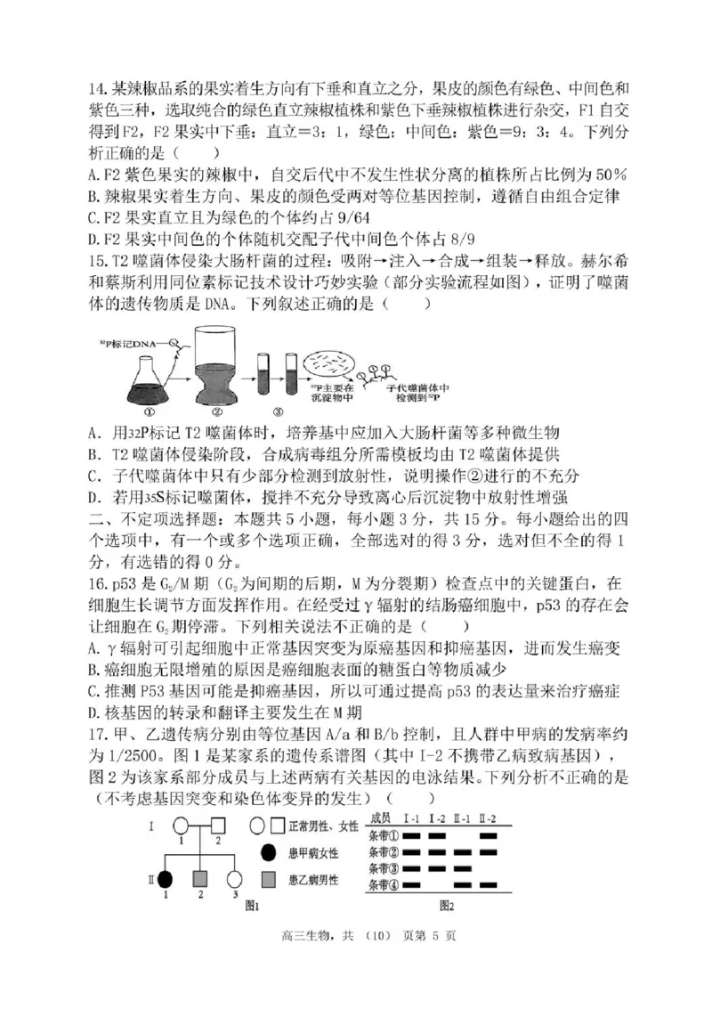 辽宁省七校协作体2025-2026学年高三上学期11月联考生物试题（含答案）_251112辽宁省七校协作体2025-2026学年高三上学期11月期中联考（全科）