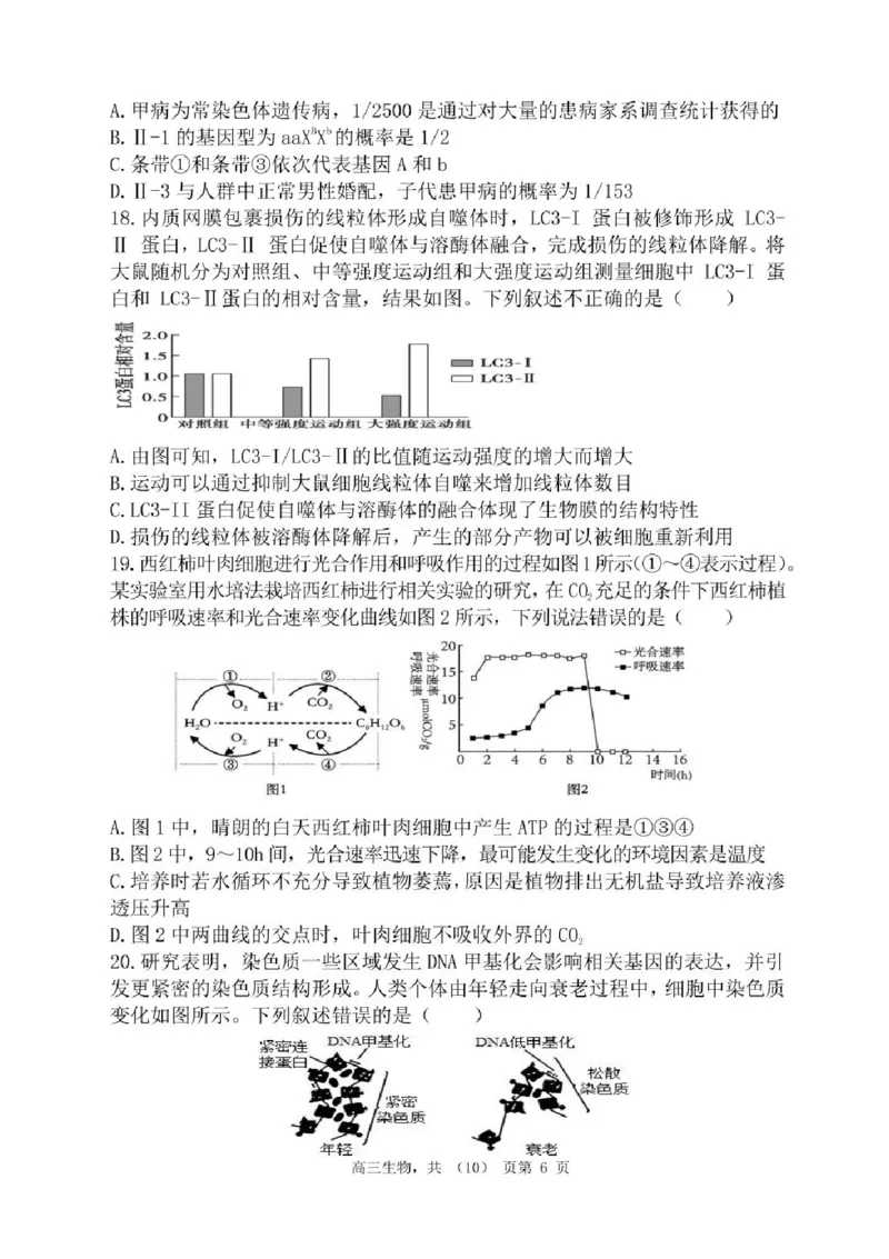 辽宁省七校协作体2025-2026学年高三上学期11月联考生物试题（含答案）_251112辽宁省七校协作体2025-2026学年高三上学期11月期中联考（全科）