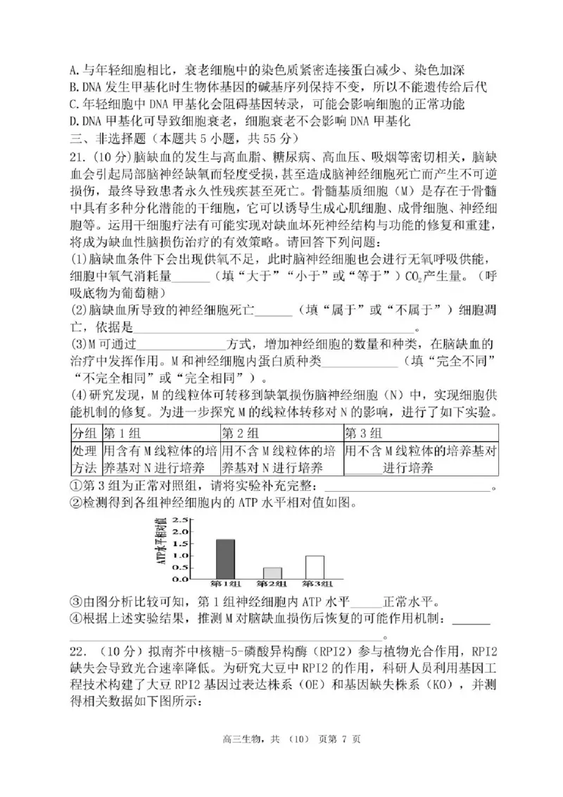 辽宁省七校协作体2025-2026学年高三上学期11月联考生物试题（含答案）_251112辽宁省七校协作体2025-2026学年高三上学期11月期中联考（全科）