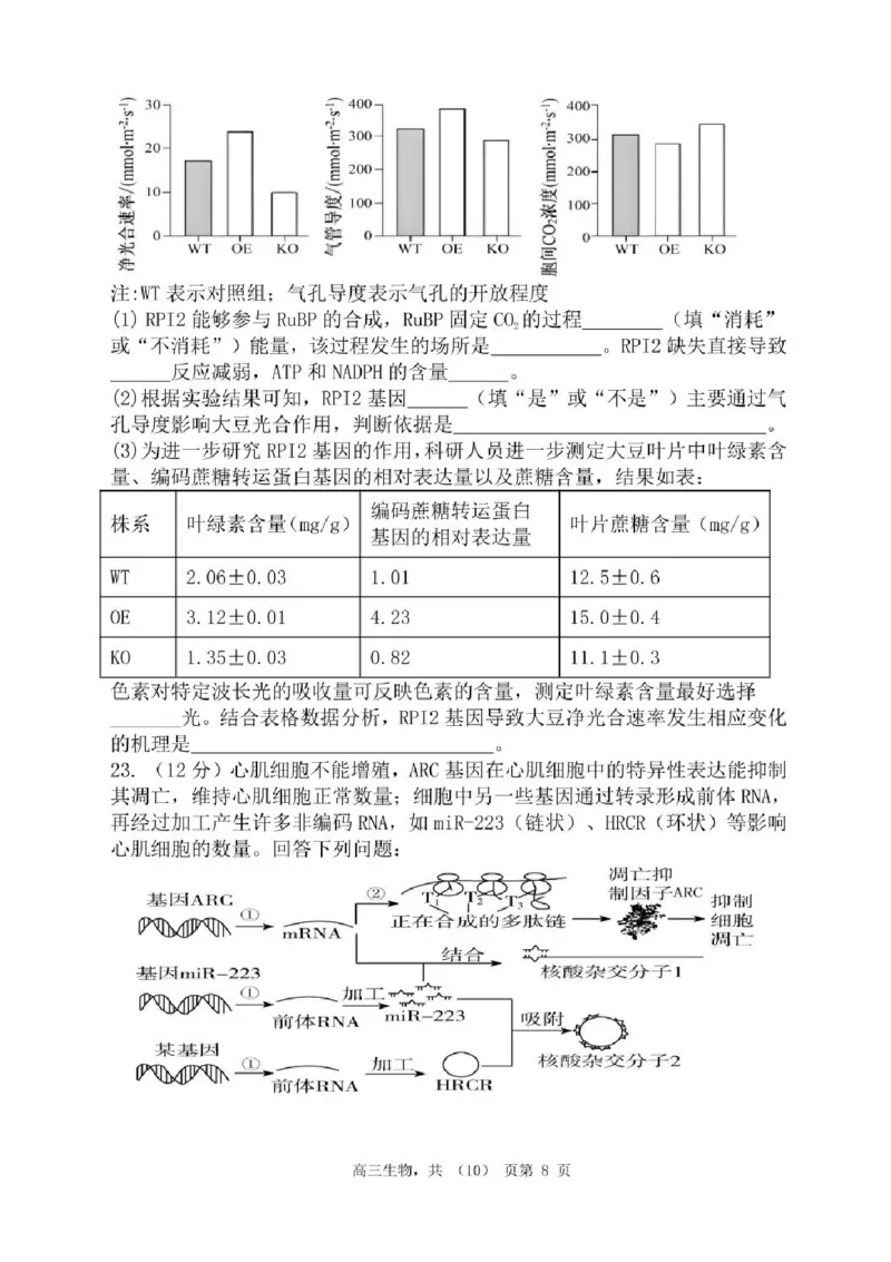辽宁省七校协作体2025-2026学年高三上学期11月联考生物试题（含答案）_251112辽宁省七校协作体2025-2026学年高三上学期11月期中联考（全科）