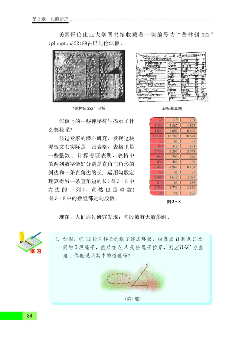 苏教版8年级数学上册高清教材_4-教培资料-26年最新资料-同步更新_初中高中教资_03科三专项（进去保存报考的学科即可）_02科三专项（笔记真题思维导图教学设计版本二）