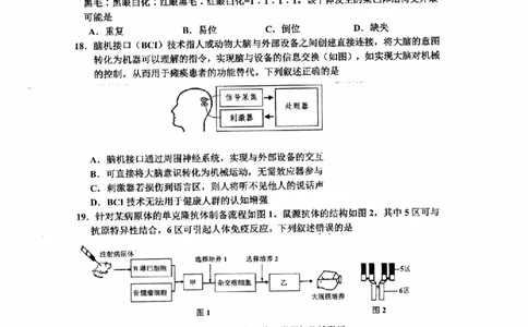 生物卷-2506嘉兴高二期末_2025年6月_250629浙江省嘉兴市2024~2025学年第二学期高二期末检测（全科）