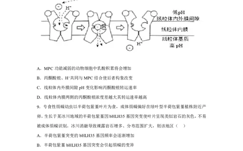 山西2025年高考生物真题文档版适用地区：陕西、山西、宁夏、青海_1.高考2025全国各省真题+答案_9.高考生物真题答案更新中