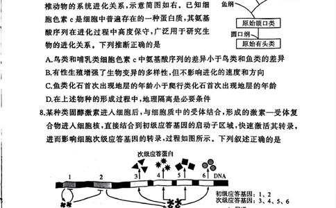 湘豫名校联考2025-2026学年高三上学期12月月考生物_2025年12月_251225河南省湘豫名校联考2025年12月高三上学期质量检测（全科）