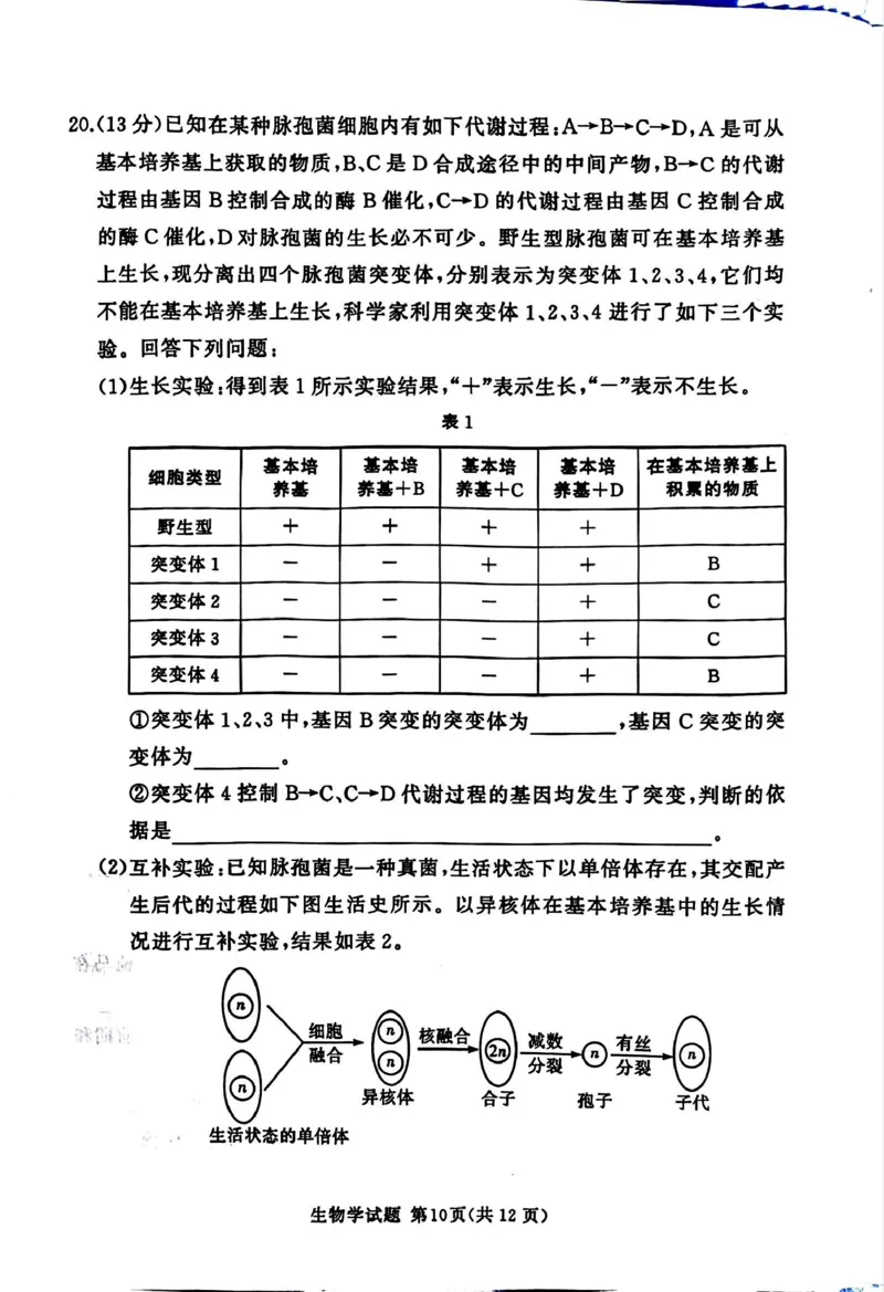 湘豫名校联考2025-2026学年高三上学期12月月考生物_2025年12月_251225河南省湘豫名校联考2025年12月高三上学期质量检测（全科）