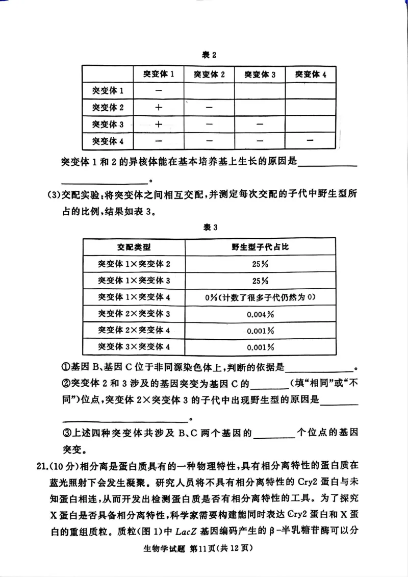 湘豫名校联考2025-2026学年高三上学期12月月考生物_2025年12月_251225河南省湘豫名校联考2025年12月高三上学期质量检测（全科）