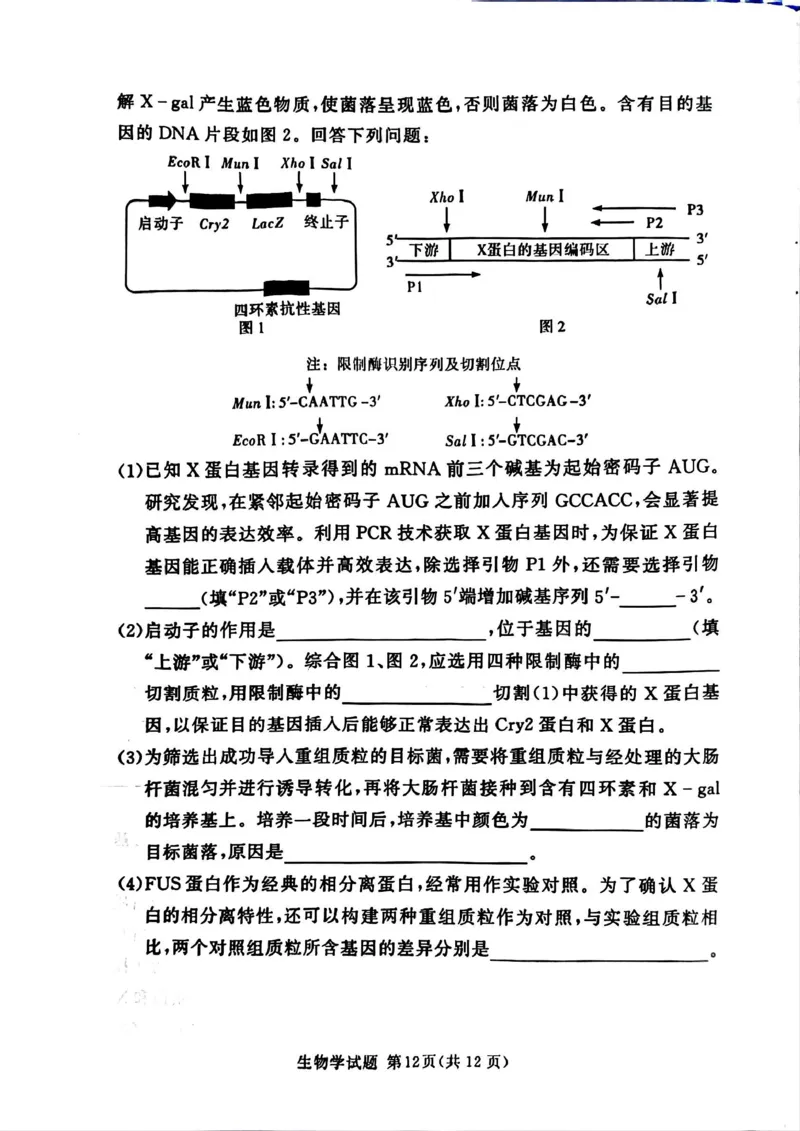湘豫名校联考2025-2026学年高三上学期12月月考生物_2025年12月_251225河南省湘豫名校联考2025年12月高三上学期质量检测（全科）