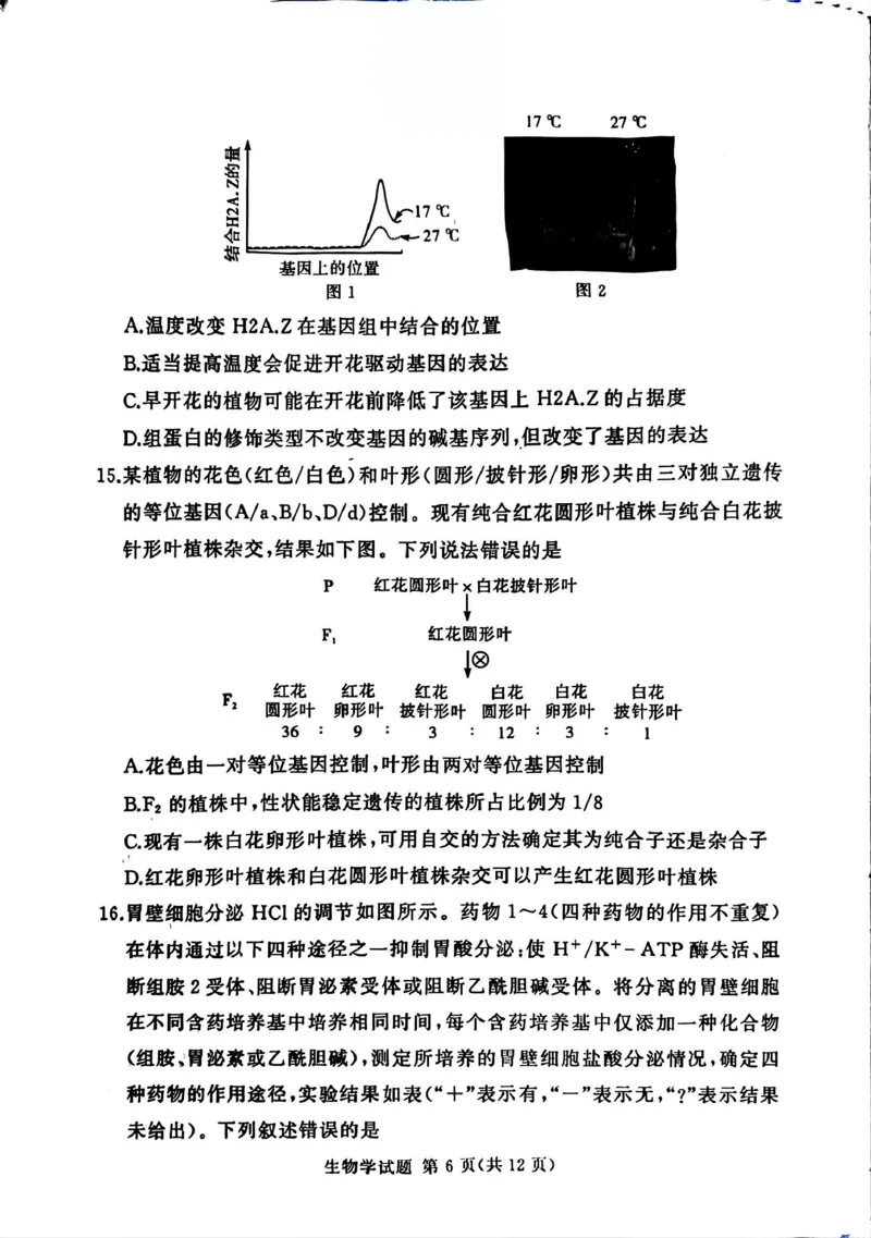 湘豫名校联考2025-2026学年高三上学期12月月考生物_2025年12月_251225河南省湘豫名校联考2025年12月高三上学期质量检测（全科）