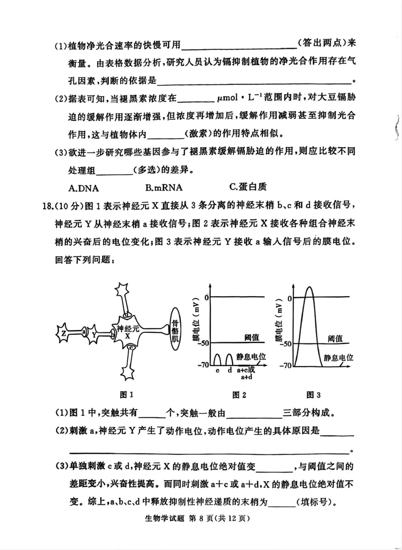 湘豫名校联考2025-2026学年高三上学期12月月考生物_2025年12月_251225河南省湘豫名校联考2025年12月高三上学期质量检测（全科）