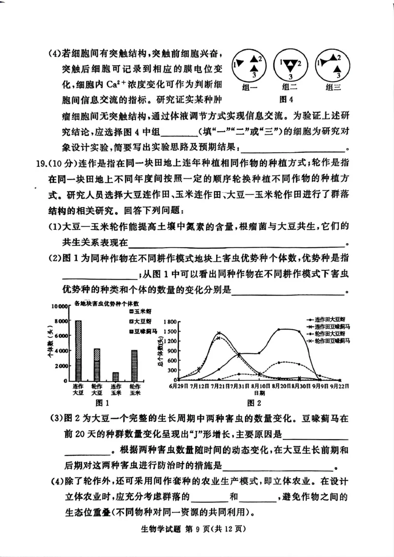 湘豫名校联考2025-2026学年高三上学期12月月考生物_2025年12月_251225河南省湘豫名校联考2025年12月高三上学期质量检测（全科）