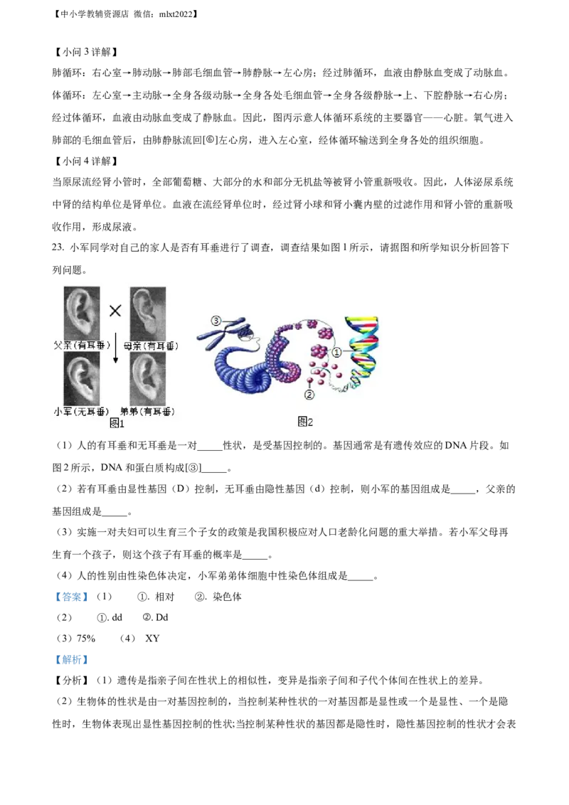 精品解析：2022年辽宁省大连市中考生物真题（解析版）_中考真题_8.生物中考真题2015-2024年_2022年全国中考生物114份14